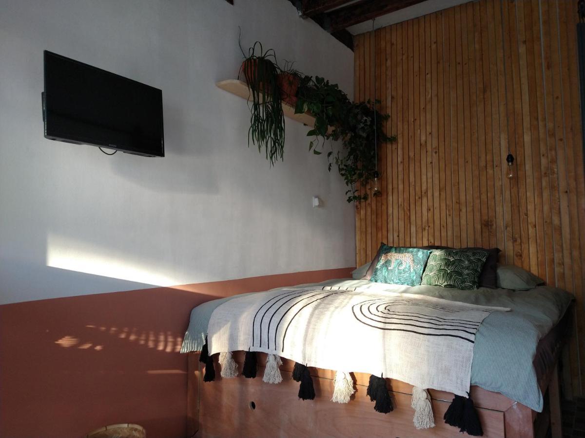 B&B "Manana" Haarlem Exterior photo
